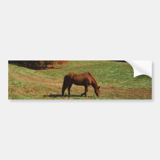 Rotes braunes Pferd, Bäume fallen, blauer Himmel Autoaufkleber (Vorne)