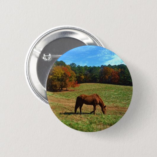 Rotes braunes Pferd, Bäume fallen, blauer Himmel Button (Vorne & Hinten)