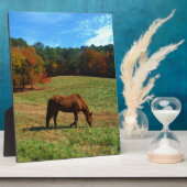 Rotes braunes Pferd, Bäume fallen, blauer Himmel Fotoplatte (Seite)