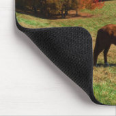 Rotes braunes Pferd, Bäume fallen, blauer Himmel Mousepad (Ecke)