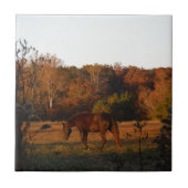 Rotes braunes Pferd, Herbstwald. Fliese (Vorderseite)