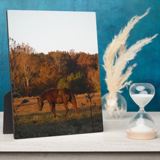 Rotes braunes Pferd, Herbstwald. Fotoplatte (Seite)