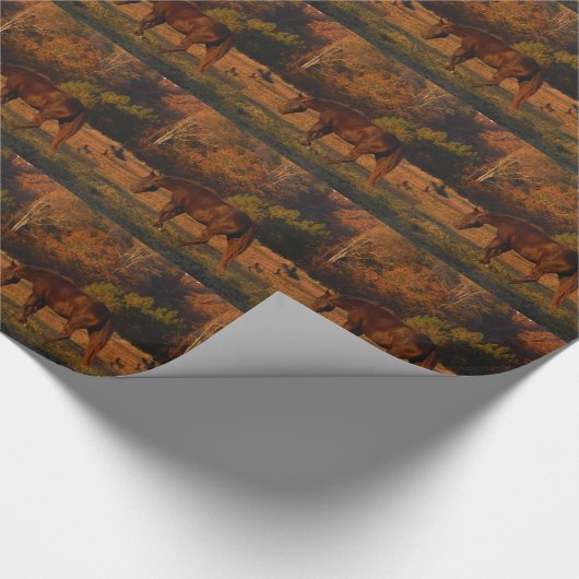 Rotes braunes Pferd, Herbstwald. Geschenkpapier (Ecke)