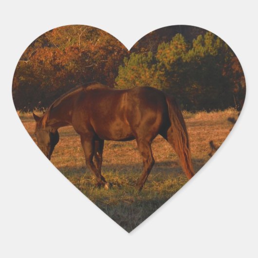 Rotes braunes Pferd, Herbstwald. Herz-Aufkleber (Vorderseite)