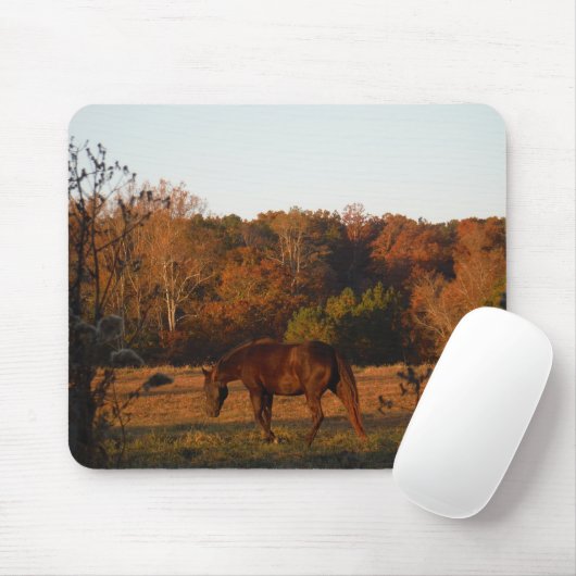 Rotes braunes Pferd, Herbstwald. Mousepad (Mit Mouse)