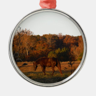 Rotes braunes Pferd, Herbstwald. Ornament Aus Metall