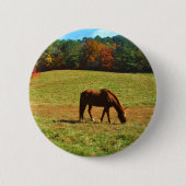 Rotes Braunes Pferd im Herbst Button (Vorderseite)