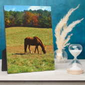 Rotes Braunes Pferd im Herbst Fotoplatte (Seite)