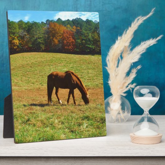 Rotes Braunes Pferd im Herbst Fotoplatte (Seite)