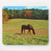 Rotes Braunes Pferd im Herbst Mousepad (Vorne)