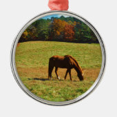 Rotes Braunes Pferd im Herbst Ornament Aus Metall (Vorne)