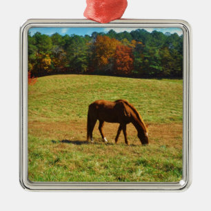 Rotes Braunes Pferd im Herbst Silbernes Ornament