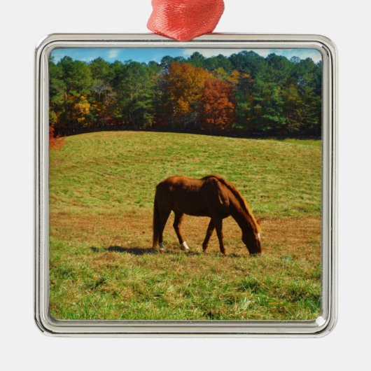 Rotes Braunes Pferd im Herbst Silbernes Ornament (Vorne)