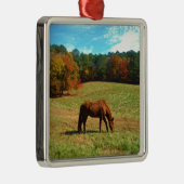 Rotes Brot, Aquamariner Blauhimmel Silbernes Ornament (Rechts)