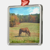 Rotes Brot, Aquamariner Blauhimmel Silbernes Ornament (Links)