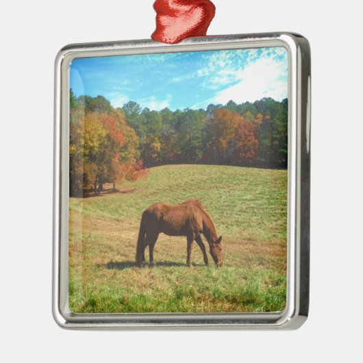 Rotes Brot, Aquamariner Blauhimmel Silbernes Ornament (Links)