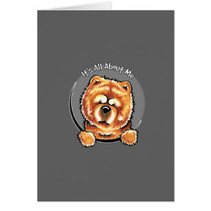 Rotes Chow-Chow IAAM