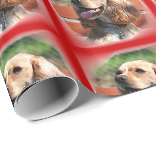 Rotes Cocker spaniel-Packpapier Geschenkpapier (Rolleneckpunkt)