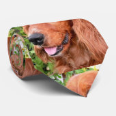 rotes cocker-spaniel-.png krawatte (Gerollt)