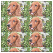 rotes cocker-spaniel-.png stoff (Muster)