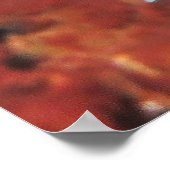 Rotes Coris/Gelbschwanz Poster (Ecke)