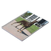 Rotes Dobermann-Notizbuch Notizblock (Linke Seite)