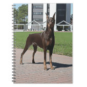Rotes Dobermann-Notizbuch Notizblock (Vorderseite)