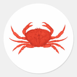 Rotes Dungeness Krabben-Logo Runder Aufkleber