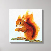 Rotes Eichhörnchen Aquarellmalerei