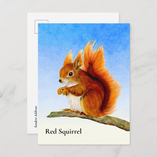 Rotes Eichhörnchen Aquarellmalerei Postkarte (Vorne/Hinten)