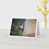 Rotes Eichhörnchen auf Baum Karte (Gelbe Blume)