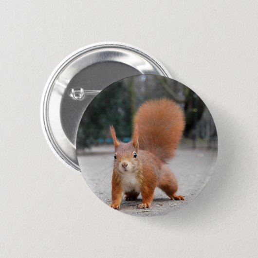 Rotes Eichhörnchen Button (Vorne & Hinten)