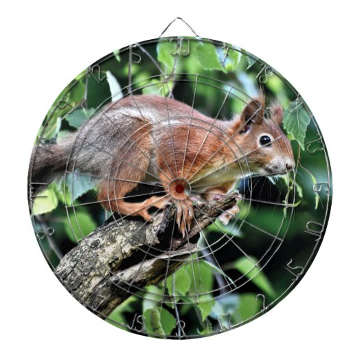 Rotes Eichhörnchen Dartscheibe (vorne)