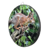 Rotes Eichhörnchen Dartscheibe (Vorderseite rechts)
