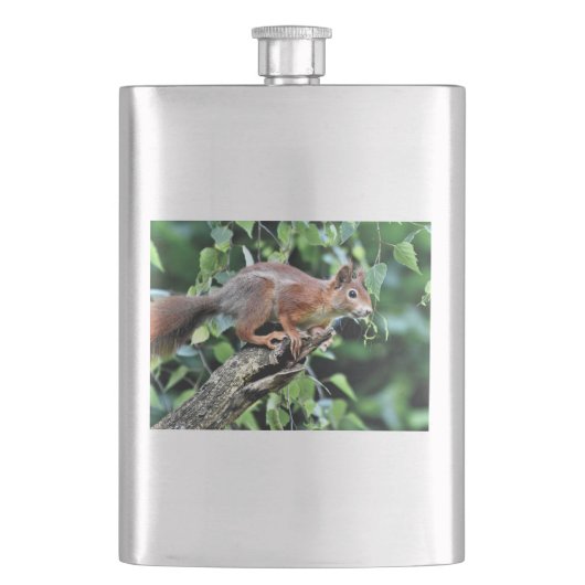 Rotes Eichhörnchen Flachmann (Vorderseite)