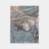 Rotes Eichhörnchen Fleecedecke (Vorderseite)