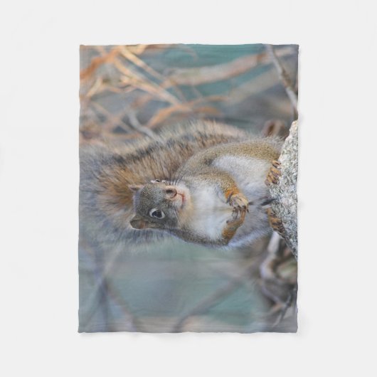 Rotes Eichhörnchen Fleecedecke (Vorderseite)