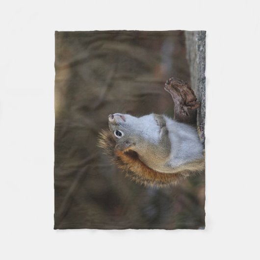 Rotes Eichhörnchen Fleecedecke (Vorderseite)