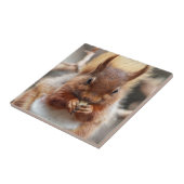 Rotes Eichhörnchen Fliese (Seite)