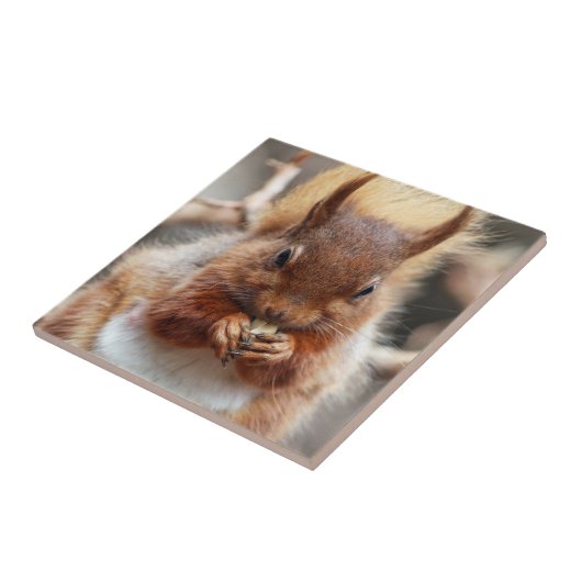 Rotes Eichhörnchen Fliese (Seite)