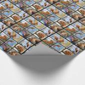 Rotes Eichhörnchen Geschenkpapier (Ecke)