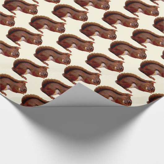 Rotes Eichhörnchen Geschenkpapier (Ecke)