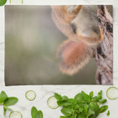 Rotes Eichhörnchen Geschirrtuch (Gefaltet)