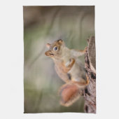 Rotes Eichhörnchen Geschirrtuch (Vertikal)