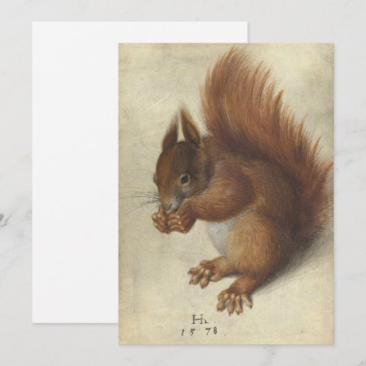 Rotes Eichhörnchen | Hans Hoffmann (Vorne/Hinten)