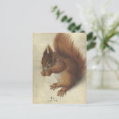Rotes Eichhörnchen | Hans Hoffmann Postkarte (Stehend Vorderseite)