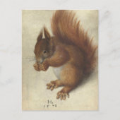 Rotes Eichhörnchen | Hans Hoffmann Postkarte (Vorderseite)