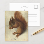 Rotes Eichhörnchen | Hans Hoffmann Postkarte