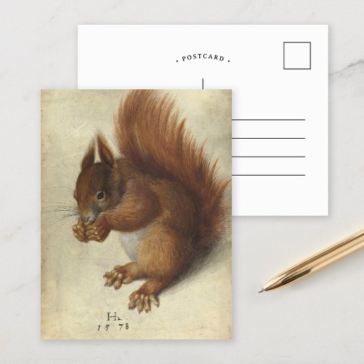 Rotes Eichhörnchen | Hans Hoffmann Postkarte