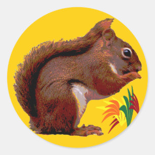 Rotes Eichhörnchen im Herbst Runder Aufkleber